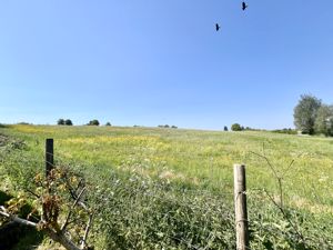 View- click for photo gallery